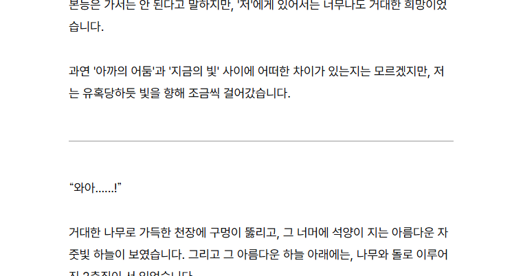에피소드의 장면을 나누는 구분선 단락